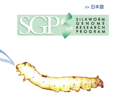 SILKWORM GENOME PROGRAM